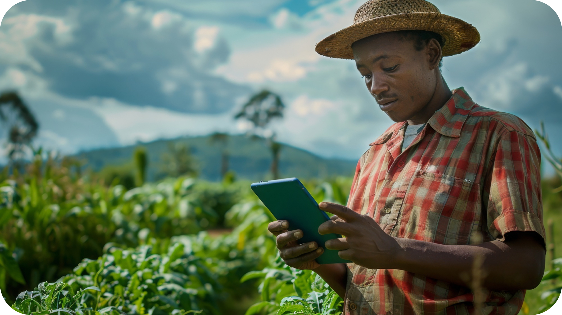 Climb Up Industries - ICT Solutions for Africa